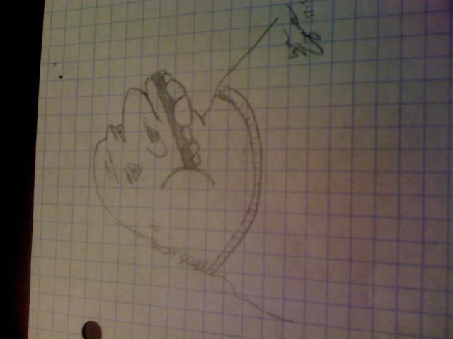 post-6210-0-87407300-1329957699_thumb.jp