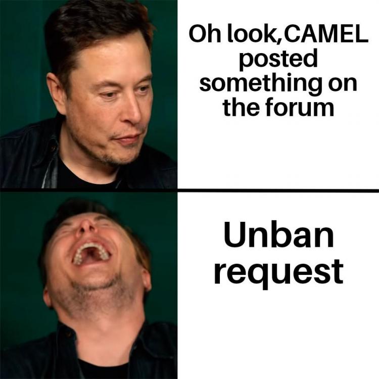 Elon Musk Laughing 02042019115615.jpg