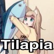 Tilapia