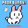 PoorBunny2